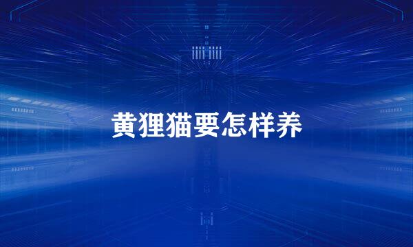 黄狸猫要怎样养