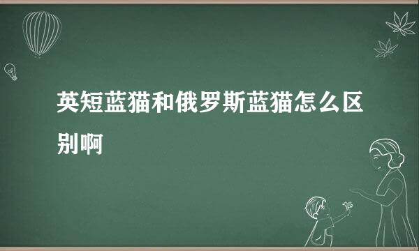 英短蓝猫和俄罗斯蓝猫怎么区别啊