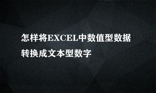 怎样将EXCEL中数值型数据转换成文本型数字