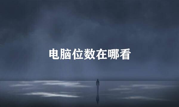 电脑位数在哪看