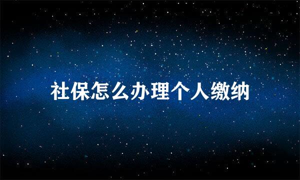 社保怎么办理个人缴纳