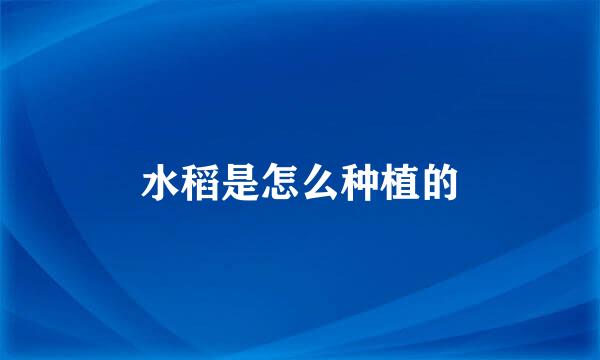 水稻是怎么种植的