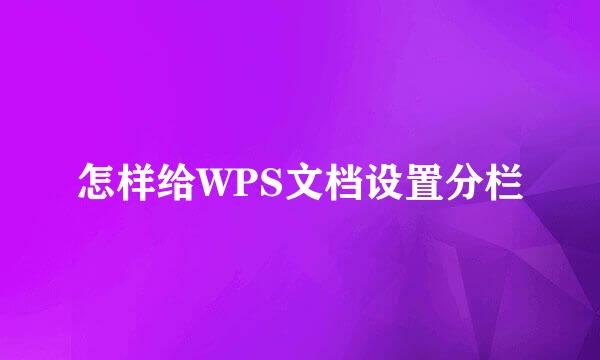 怎样给WPS文档设置分栏