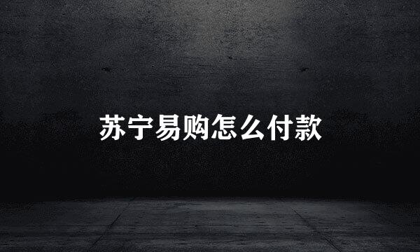 苏宁易购怎么付款