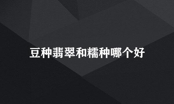 豆种翡翠和糯种哪个好