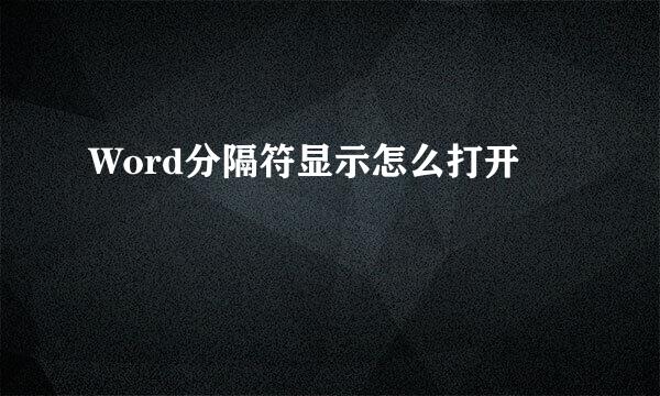 Word分隔符显示怎么打开