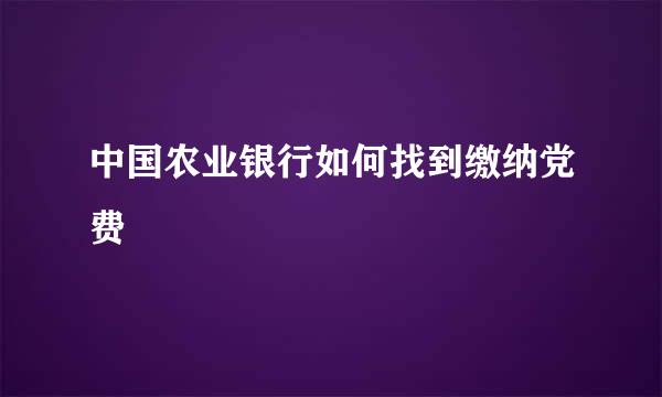 中国农业银行如何找到缴纳党费
