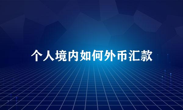 个人境内如何外币汇款