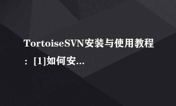 TortoiseSVN安装与使用教程：[1]如何安装SVN
