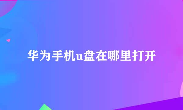 华为手机u盘在哪里打开