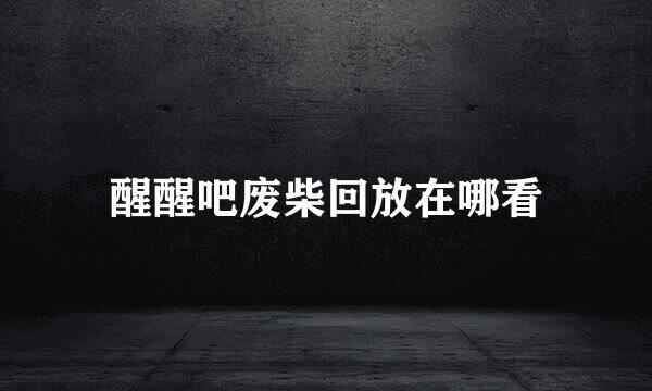 醒醒吧废柴回放在哪看