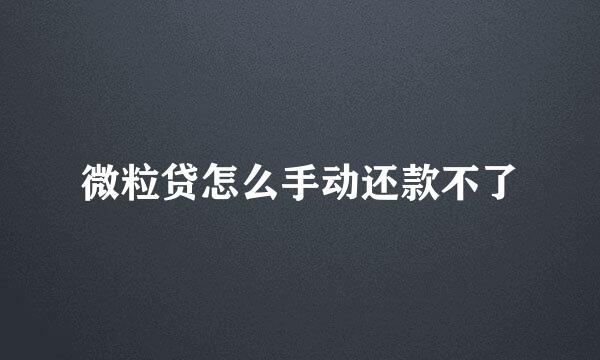 微粒贷怎么手动还款不了