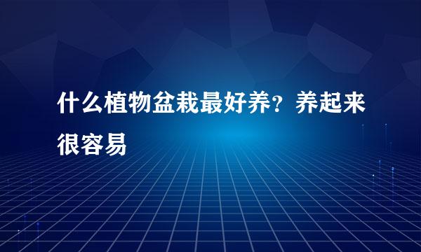 什么植物盆栽最好养？养起来很容易