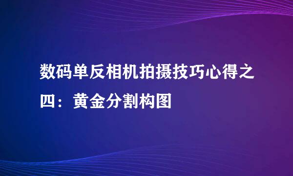 数码单反相机拍摄技巧心得之四：黄金分割构图