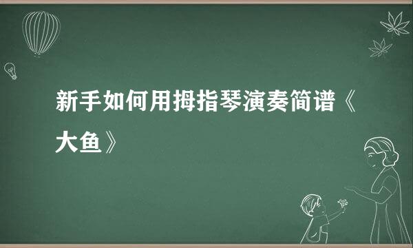 新手如何用拇指琴演奏简谱《大鱼》
