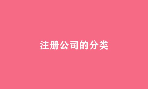 注册公司的分类