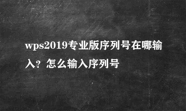 wps2019专业版序列号在哪输入？怎么输入序列号