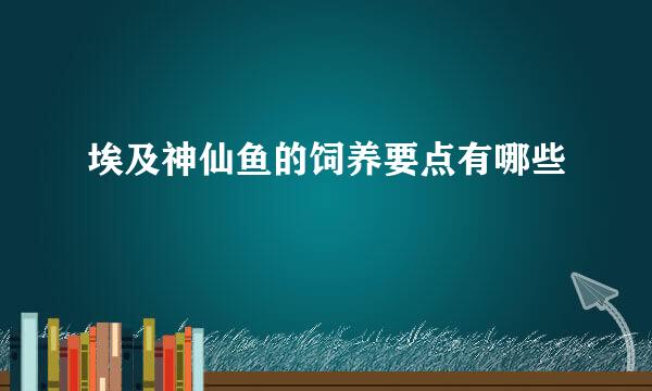 埃及神仙鱼的饲养要点有哪些