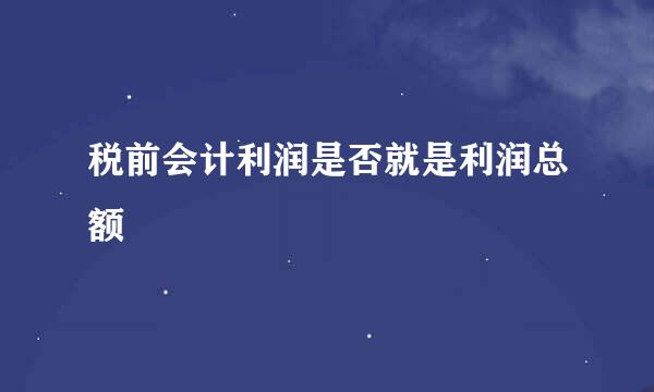 税前会计利润是否就是利润总额