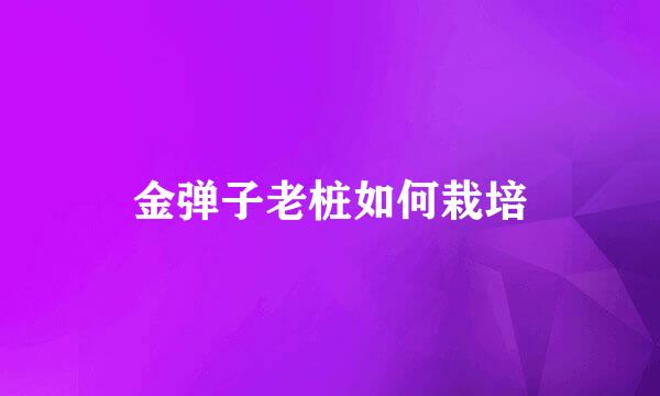 金弹子老桩如何栽培