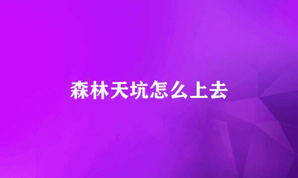 森林天坑怎么上去