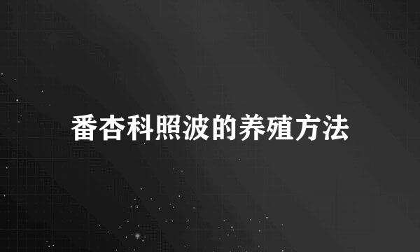 番杏科照波的养殖方法