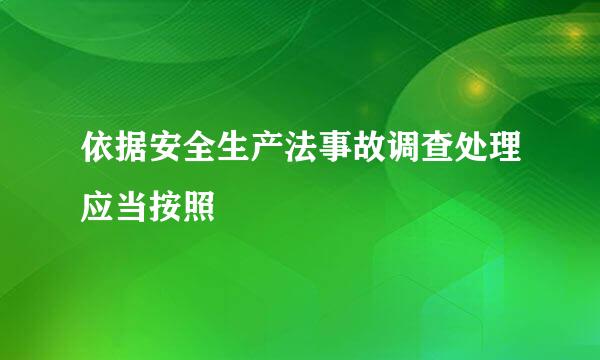依据安全生产法事故调查处理应当按照