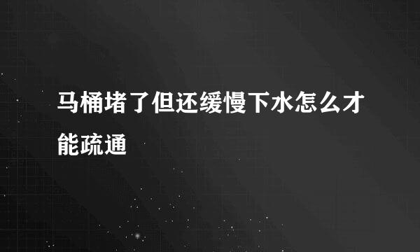 马桶堵了但还缓慢下水怎么才能疏通