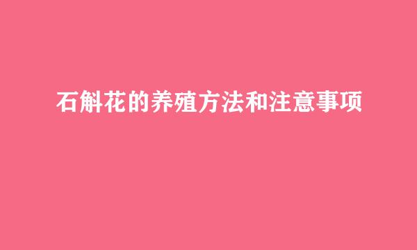 石斛花的养殖方法和注意事项