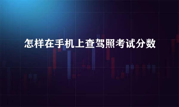 怎样在手机上查驾照考试分数