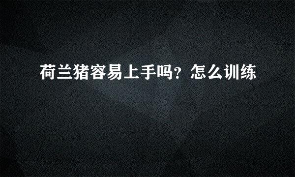 荷兰猪容易上手吗？怎么训练