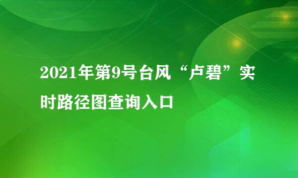 2021年第9号台风“卢碧”实时路径图查询入口