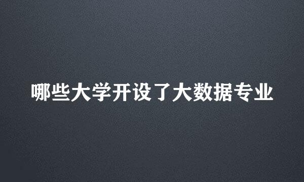 哪些大学开设了大数据专业