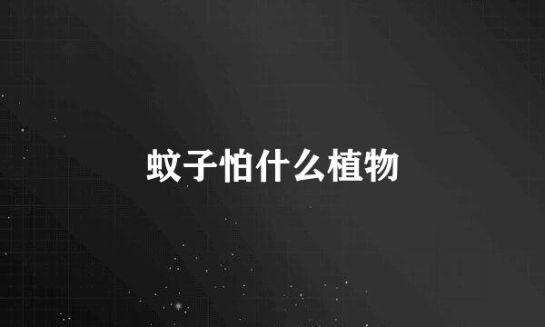 蚊子怕什么植物