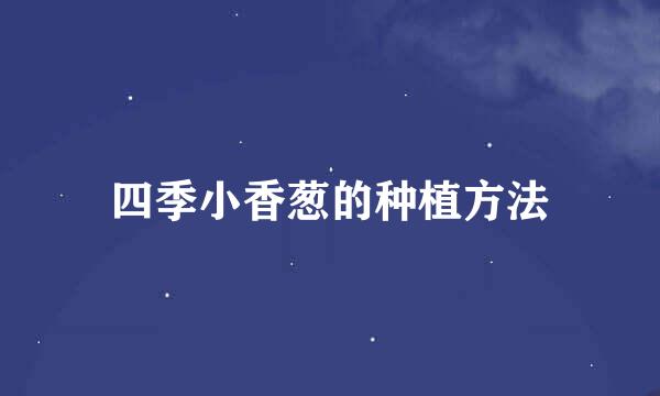 四季小香葱的种植方法