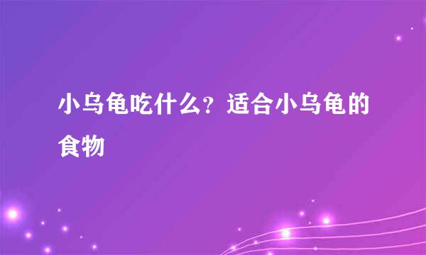 小乌龟吃什么？适合小乌龟的食物