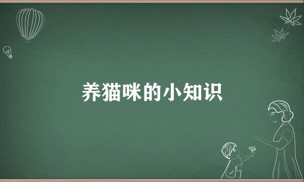 养猫咪的小知识