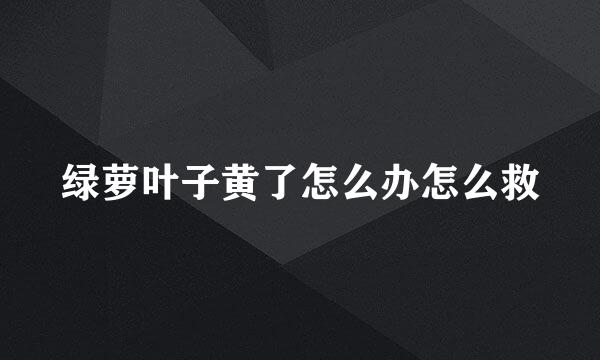 绿萝叶子黄了怎么办怎么救