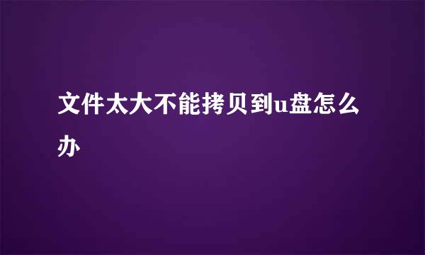 文件太大不能拷贝到u盘怎么办