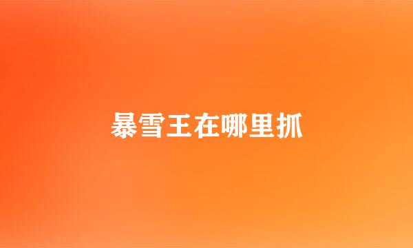 暴雪王在哪里抓