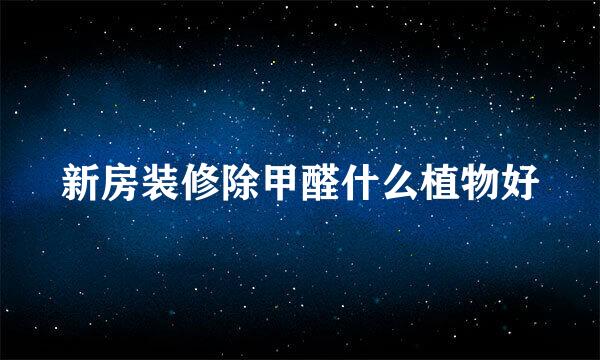新房装修除甲醛什么植物好