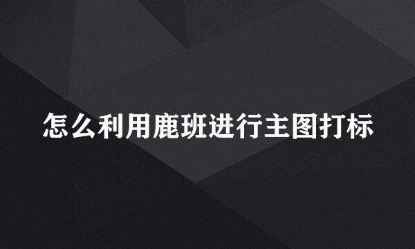 怎么利用鹿班进行主图打标