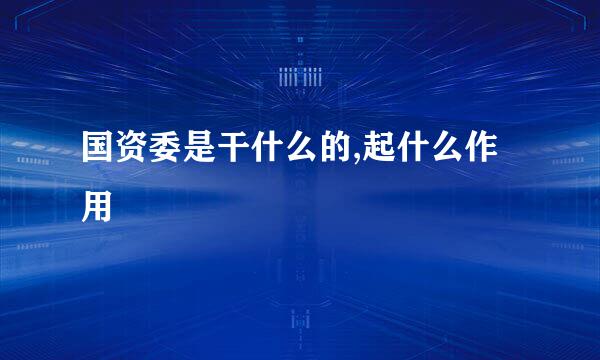 国资委是干什么的,起什么作用