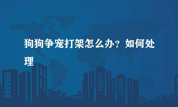 狗狗争宠打架怎么办？如何处理