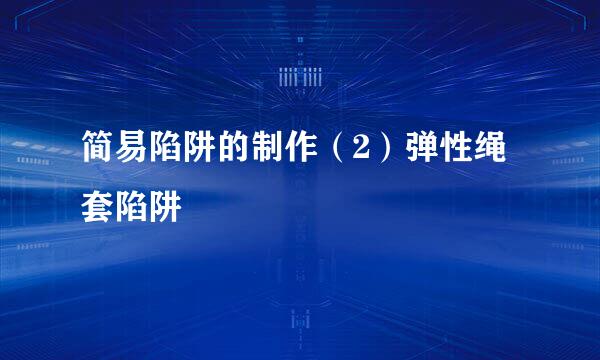 简易陷阱的制作（2）弹性绳套陷阱