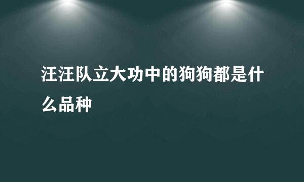 汪汪队立大功中的狗狗都是什么品种