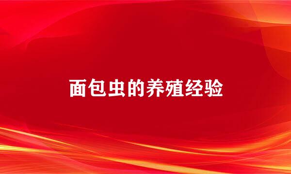面包虫的养殖经验