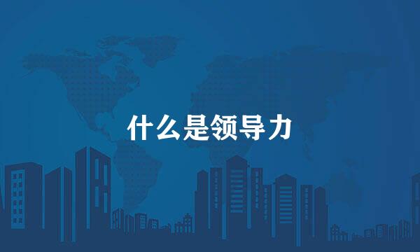 什么是领导力