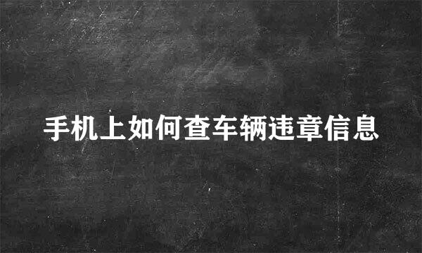 手机上如何查车辆违章信息