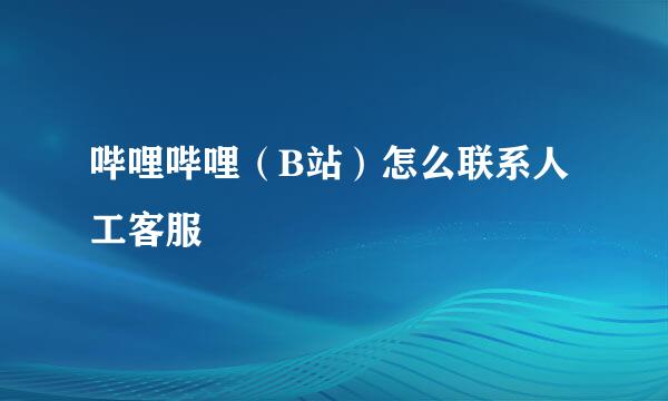 哔哩哔哩（B站）怎么联系人工客服